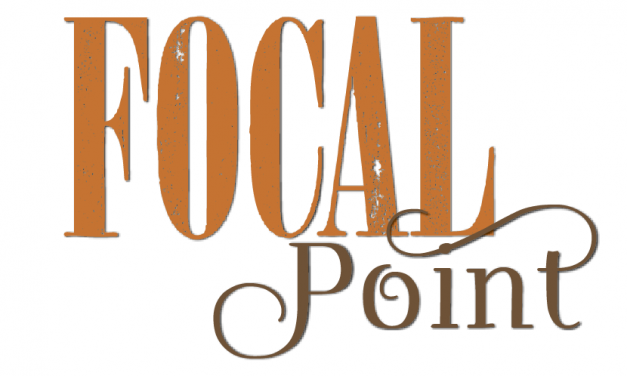 Focal Point Foster Construction