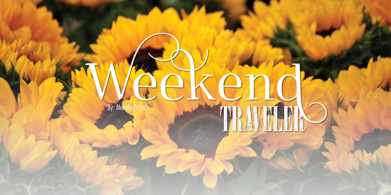 Weekend Traveler | Elkins/Davis, WV