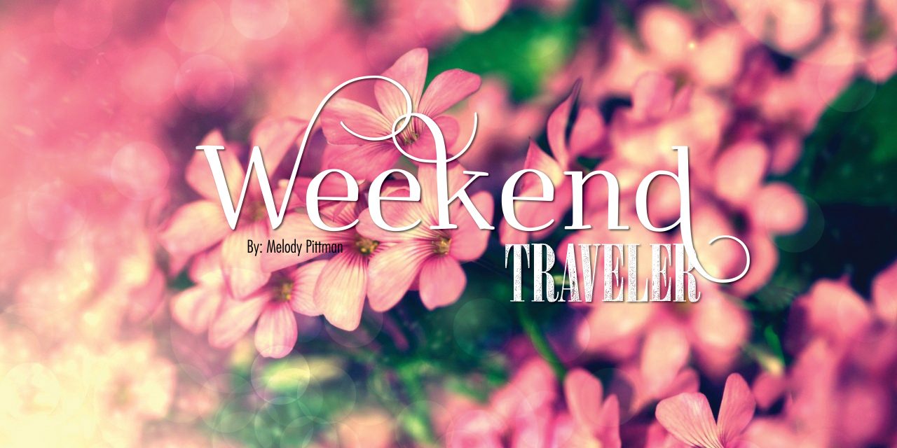 Weekend Traveler | Southern, WV